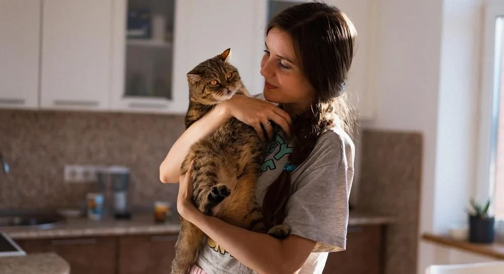 Коти, які не відходять від господаря: 7 порід для тих, хто хоче друга поруч