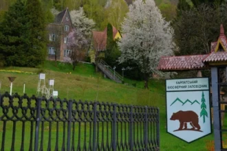 На горі Піп Іван відкрили Міжнародний центр із телескопом